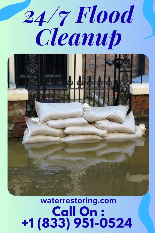 24/7 Flood Cleanup in Woodville, WI