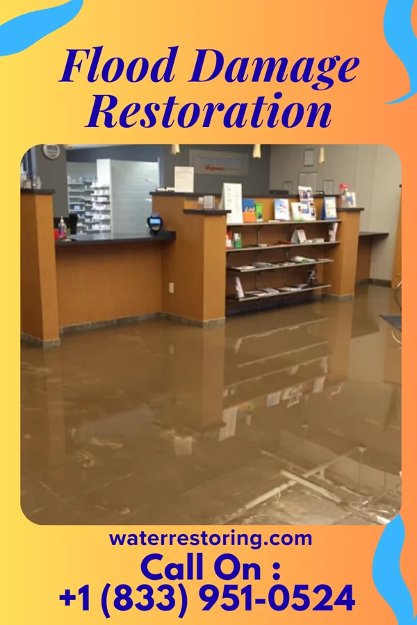 Flood Damage Restoration in Woodville, WI