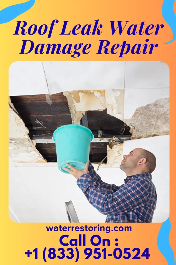 Roof Leak Water Damage Repair in Woodville, WI