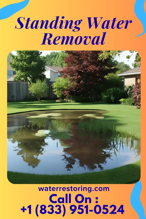 Standing Water Removal in Woodville, WI